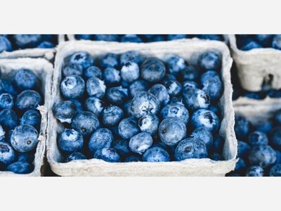 Champaign's Rich Relatives Can Boost Our Immune System